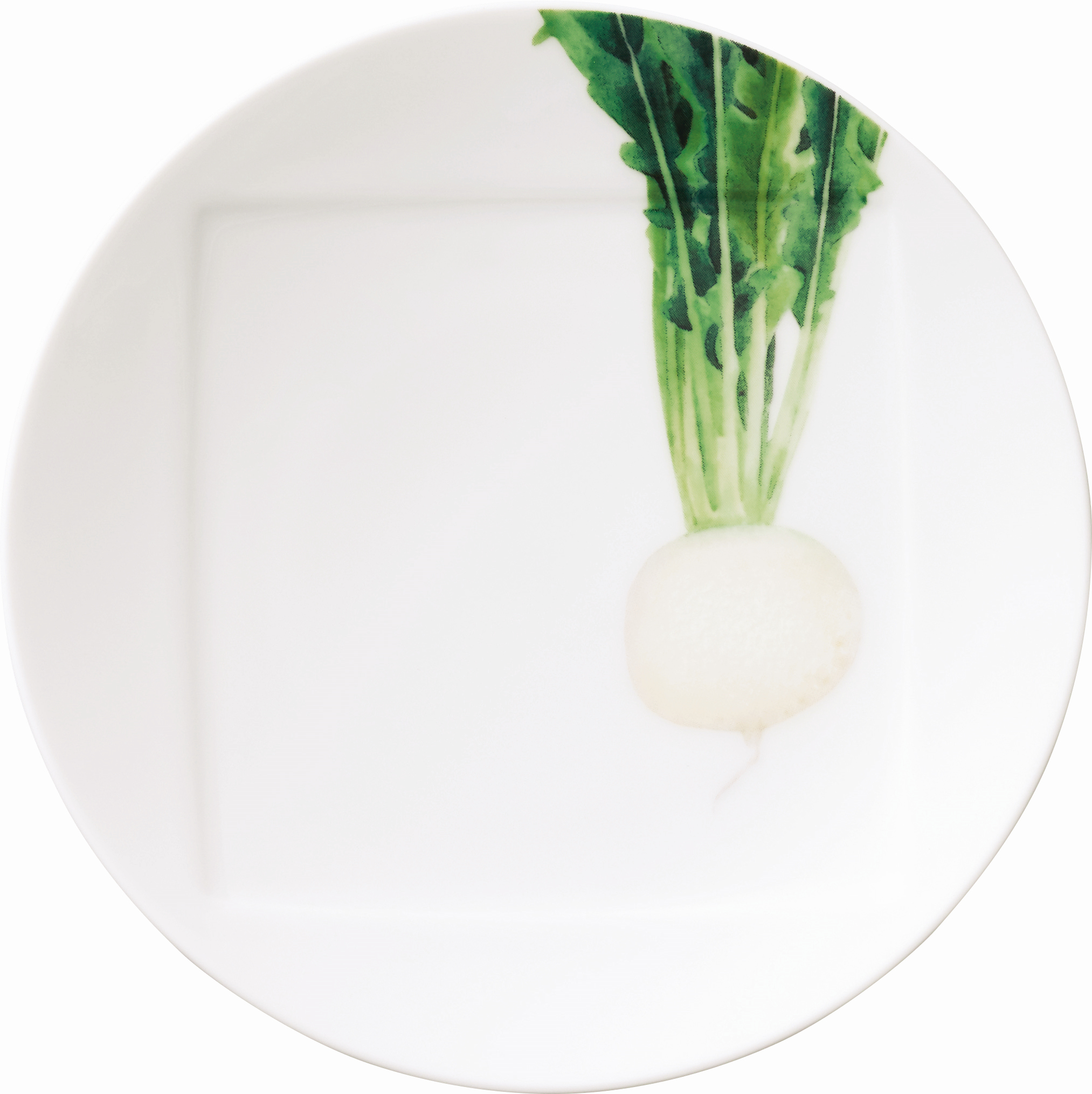 1620/7L Radish- 09931A/ Coupe Dinner Plate