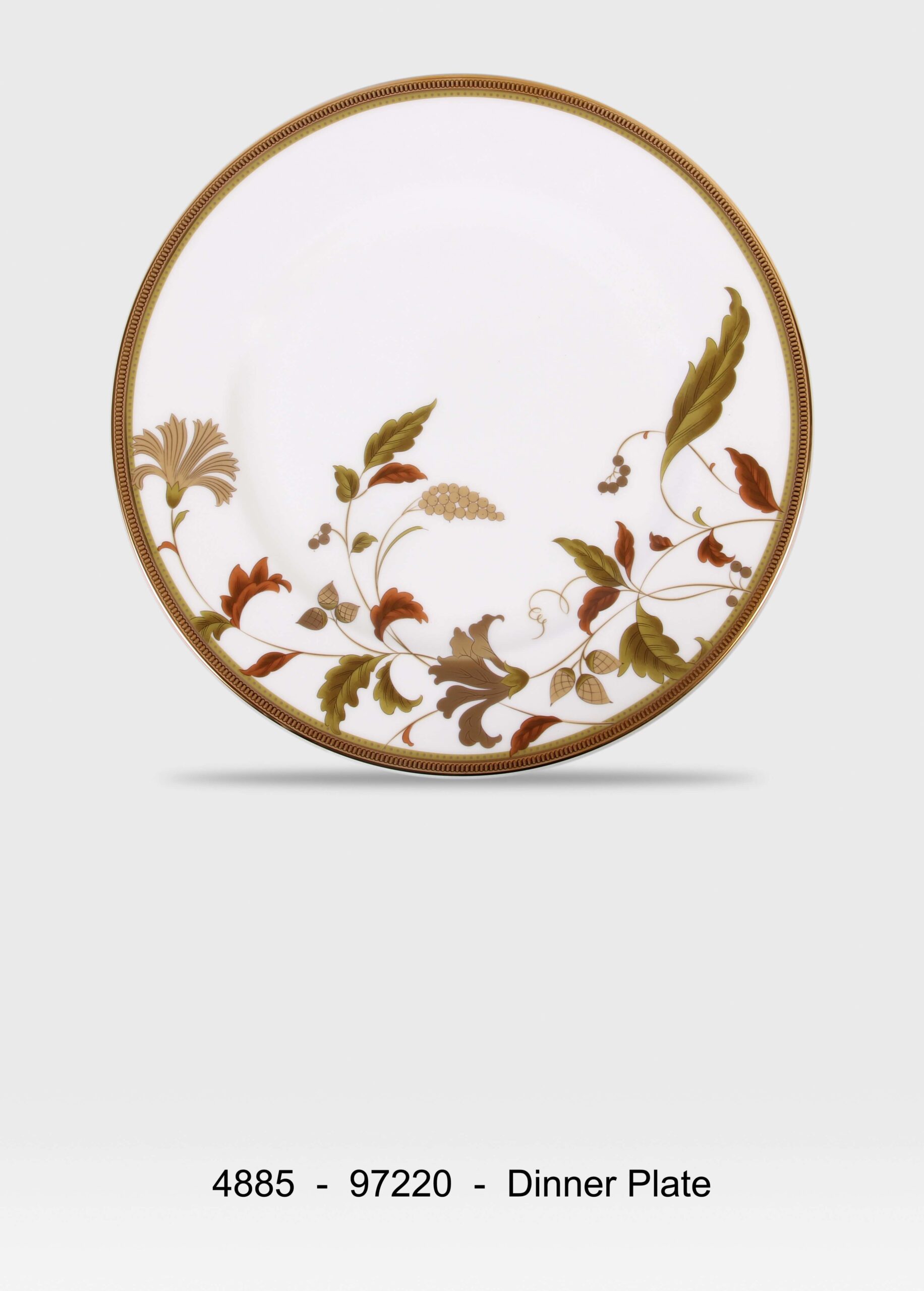 Dinner Plate