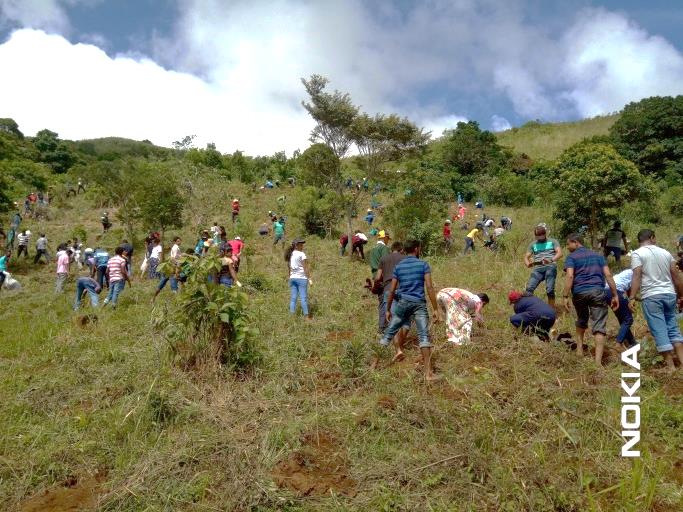 Tree Planting Campaign – 2019